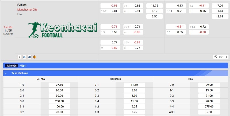 Soi kèo Fulham vs Manchester City - Tỷ lệ kèo Fulham vs Manchester City