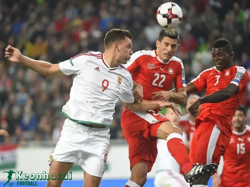 Soi kèo Hungary vs Thụy Sĩ - 20h00 ngày 15/06/2024 